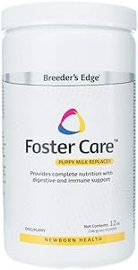Foster Care