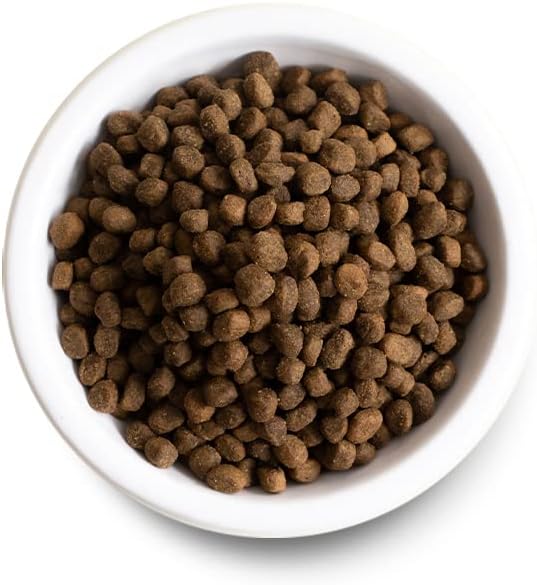 Open Farm Dog Beef 22LB