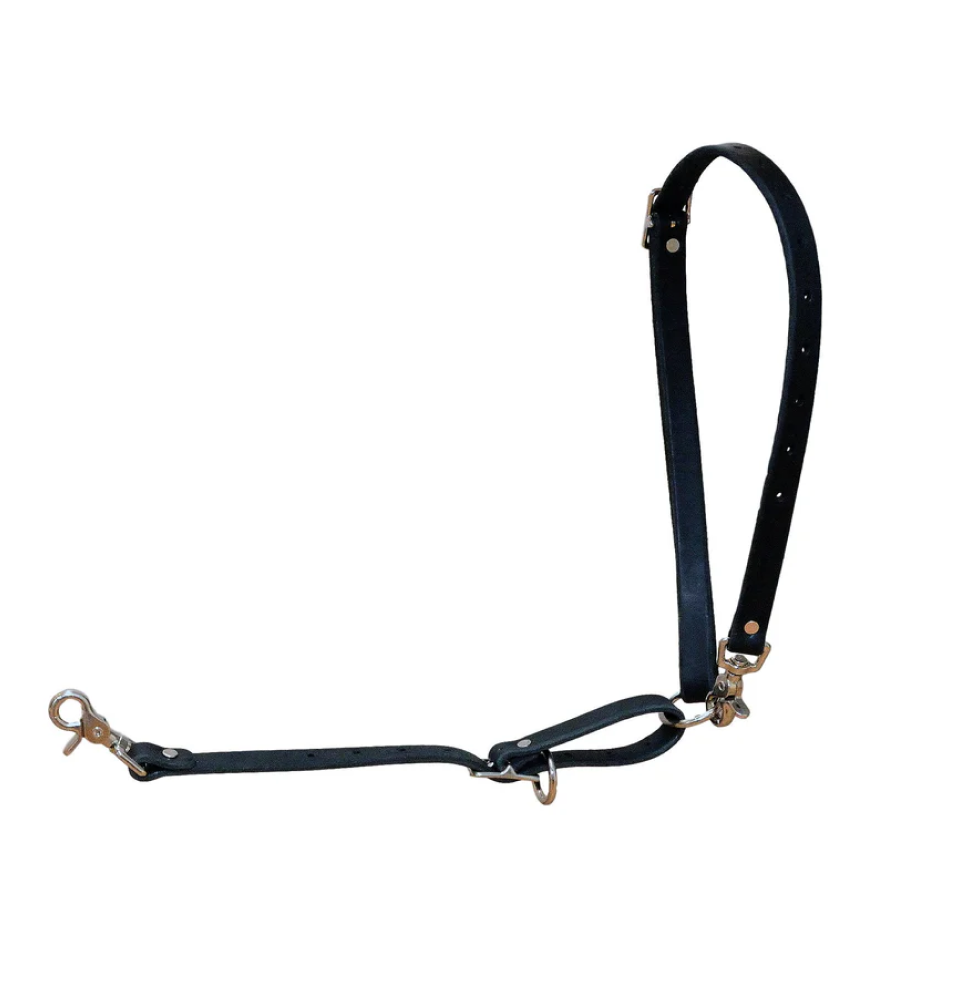 BeltFedKennelSupply
