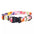 Inspire 5/8" Fashion Collar 14”