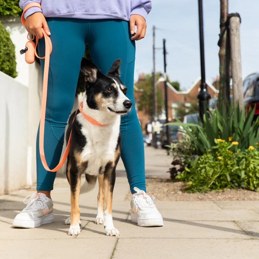 SwiftPaws Critter Pack