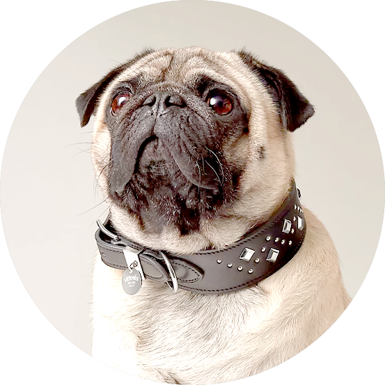 BeltFedKennelSupply